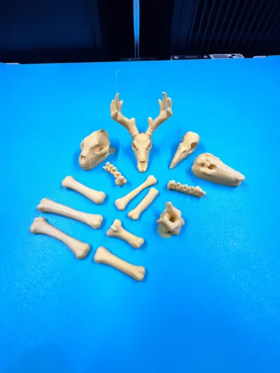 https://makerworld.bblmw.com/makerworld/comment/20260727/773416424/f83c54403b86545e.jpg