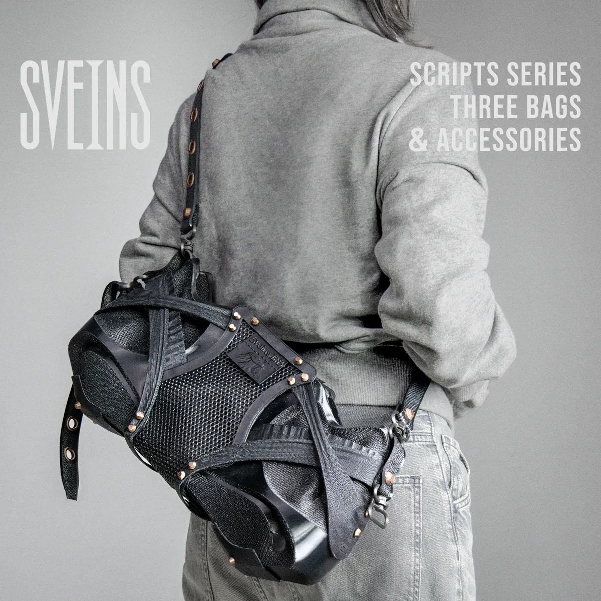 Scripts Bag Series / SVEINS by riccky.svg - MakerWorld