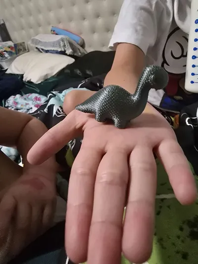https://makerworld.bblmw.com/makerworld/model/1001454/1169011/ratings/e1b42380-f8df-11f0-ba90-65eab5585834.jpg