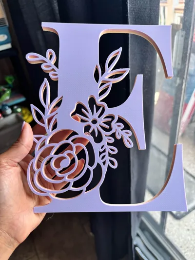 https://makerworld.bblmw.com/makerworld/model/1001818/979397/ratings/ca217980-636a-11f0-8885-01a2037329dd.jpg
