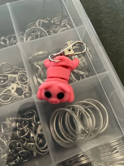 https://makerworld.bblmw.com/makerworld/model/1002246/979892/ratings/70dcd880-125f-11f0-b6d2-952da2a7d8bf.jpg