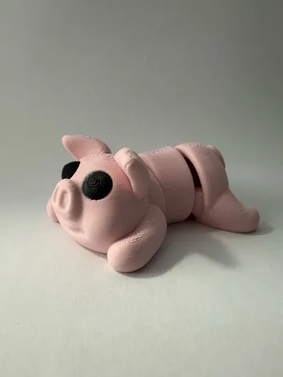 https://makerworld.bblmw.com/makerworld/model/1002246/979895/ratings/cb097ee0-7168-11f0-931b-d35763d64950.jpg