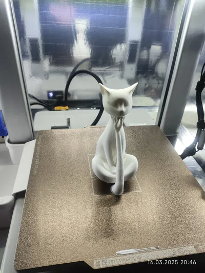https://makerworld.bblmw.com/makerworld/model/1002940/980787/ratings/b15a1860-02a0-11f0-9ca8-41c53f62cd49.jpg