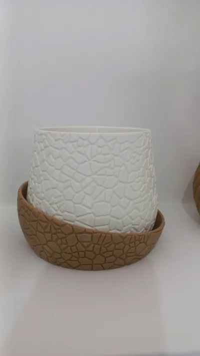 https://makerworld.bblmw.com/makerworld/model/1003509/981445/ratings/09a03220-8e65-11f0-9b3a-b9d0295fca67.jpg