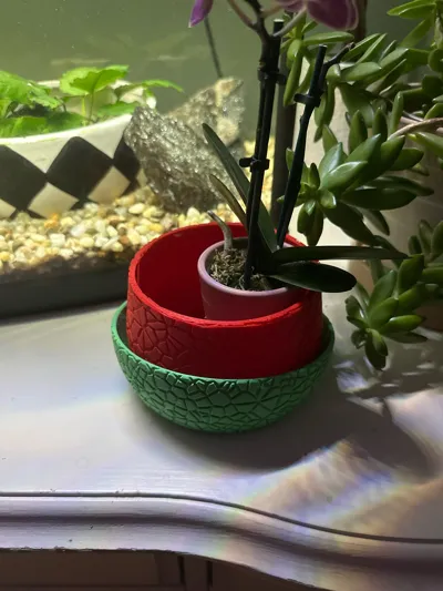 https://makerworld.bblmw.com/makerworld/model/1003509/981445/ratings/5ca79090-e07b-11f0-9fad-adf280e6d5f7.jpg