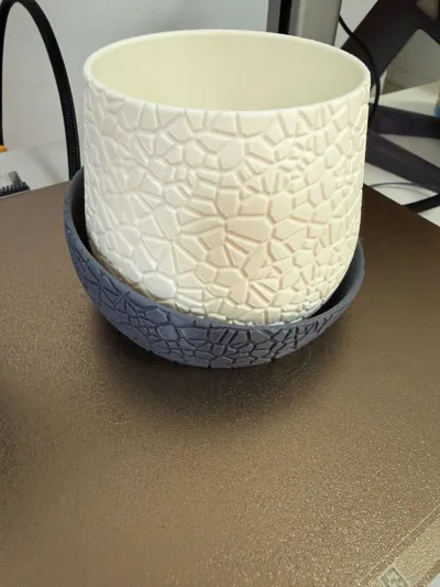 https://makerworld.bblmw.com/makerworld/model/1003509/981445/ratings/a20a1b10-f306-11f0-bce6-a38076d6eb97.jpg
