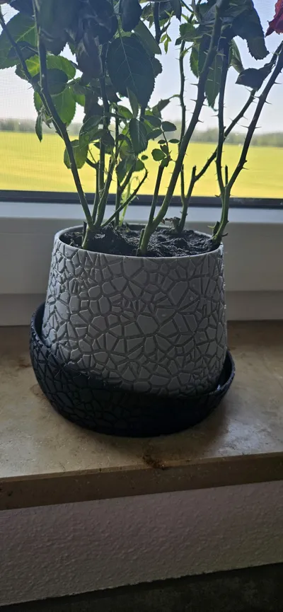 https://makerworld.bblmw.com/makerworld/model/1003509/981466/ratings/762014b0-7b41-11f0-8e66-cb6f067310dc.jpg