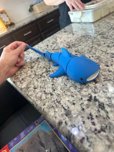 https://makerworld.bblmw.com/makerworld/model/1004158/982250/ratings/ecda7600-77a3-11f0-bbb1-6d109271710b.jpg