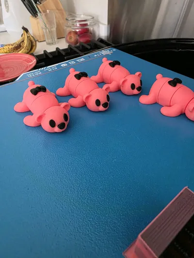 https://makerworld.bblmw.com/makerworld/model/1004746/982974/ratings/686d3c80-503a-11f0-803b-a93ee2f7e6ef.jpg