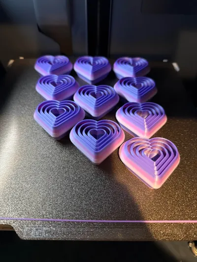 https://makerworld.bblmw.com/makerworld/model/1005138/983446/ratings/642a86b0-f994-11f0-99d9-893096bb749d.jpg