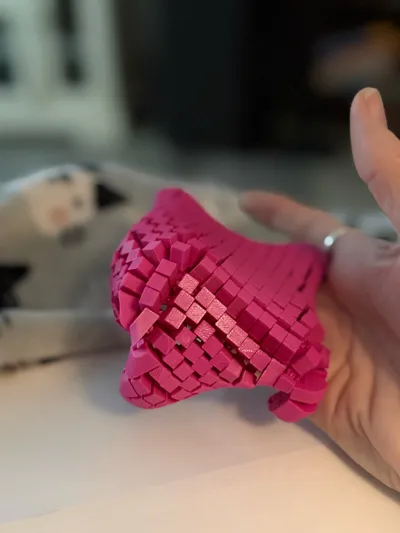 https://makerworld.bblmw.com/makerworld/model/1005951/1227754/ratings/50a0c820-3cca-11f0-aa1b-51170dd7adcd.jpg