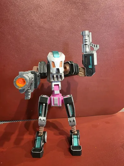 https://makerworld.bblmw.com/makerworld/model/1006944/985581/ratings/aed57030-4d19-11f0-959a-8d8d2f836634.jpg