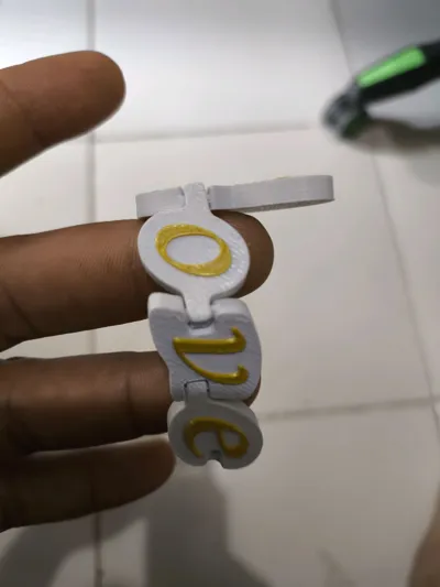 https://makerworld.bblmw.com/makerworld/model/1006981/985622/ratings/0563a370-a1f9-11f0-be5d-17c22550cd91.jpg