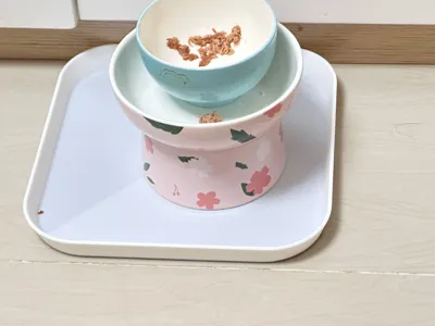 https://makerworld.bblmw.com/makerworld/model/1007704/986509/ratings/31d13c20-9ec4-11f0-a374-0ddc48f5f52a.jpg