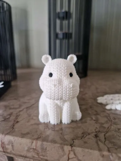 https://makerworld.bblmw.com/makerworld/model/1008415/1104885/ratings/bcb8a390-ba81-11f0-b112-e9d128773d1d.jpg