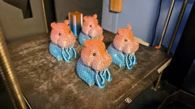 https://makerworld.bblmw.com/makerworld/model/1008415/987433/ratings/3dfc0c90-fad2-11f0-bc11-4f1d133e4fde.jpg