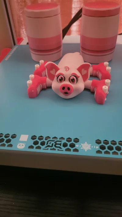 https://makerworld.bblmw.com/makerworld/model/1009102/988288/ratings/36e13790-8cc9-11f0-a47a-f17b54844157.jpg