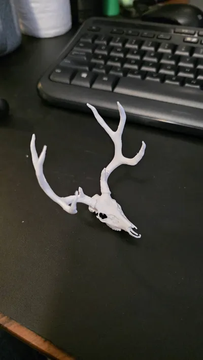 https://makerworld.bblmw.com/makerworld/model/1009428/988711/ratings/0559d250-add4-11f0-8b66-ff712d609285.jpg