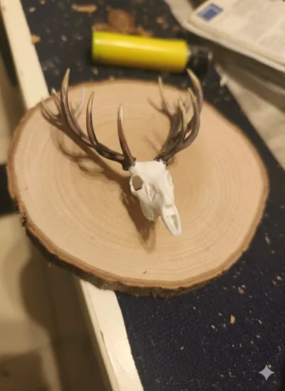 https://makerworld.bblmw.com/makerworld/model/1009428/988711/ratings/effc3f10-f96e-11f0-8fe4-01bf1784d5b0.png