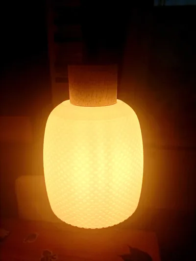 https://makerworld.bblmw.com/makerworld/model/1009776/989139/ratings/d57047b0-be4d-11f0-867e-fd9d1d8dd36a.jpg