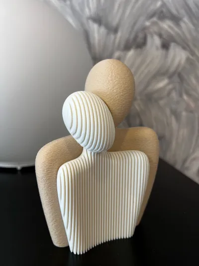 https://makerworld.bblmw.com/makerworld/model/1009777/989213/ratings/7404c6f0-8de6-11f0-b7a6-e5d1de64496f.jpg