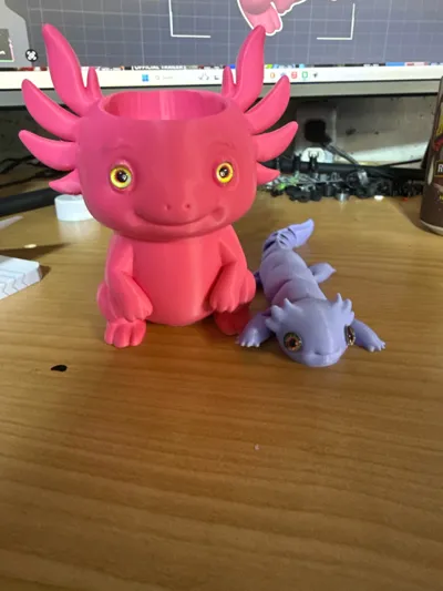 https://makerworld.bblmw.com/makerworld/model/1010835/990215/ratings/9e6c1100-cd9c-11f0-886c-4f301e0dd463.jpg