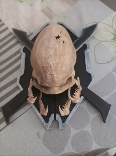 https://makerworld.bblmw.com/makerworld/model/1010948/990316/ratings/22ad2e30-60d9-11f0-8ce3-cf926c214f31.jpg