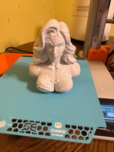 https://makerworld.bblmw.com/makerworld/model/1011201/990610/ratings/4e9b2f00-1026-11f0-b5a9-73b783300ae3.jpg