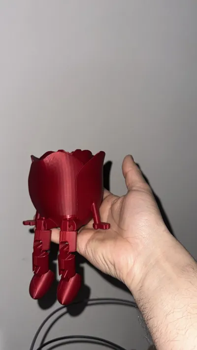 https://makerworld.bblmw.com/makerworld/model/1011795/991312/ratings/3d0de350-de47-11f0-9933-733875999114.jpg