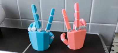 https://makerworld.bblmw.com/makerworld/model/1014042/993902/ratings/771981e0-4b07-11f0-a793-7fab7c58c384.jpg