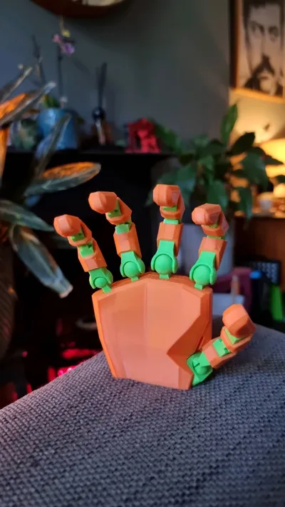 https://makerworld.bblmw.com/makerworld/model/1014042/993902/ratings/82449180-3a28-11f0-b28f-f1eee7797887.jpg