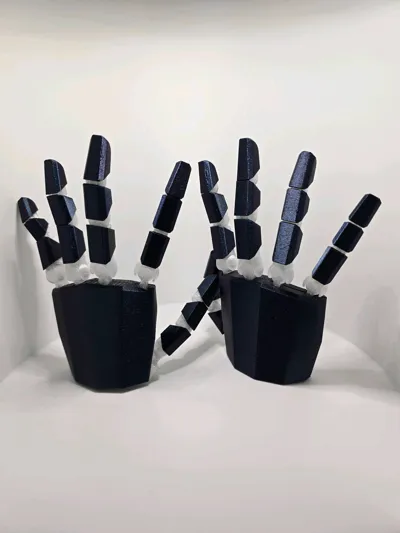 https://makerworld.bblmw.com/makerworld/model/1014042/993902/ratings/de728d70-6e00-11f0-b6a1-a1afa5ef6780.jpg