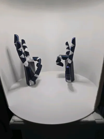 https://makerworld.bblmw.com/makerworld/model/1014042/993902/ratings/de7377d0-6e00-11f0-b6a1-a1afa5ef6780.jpg