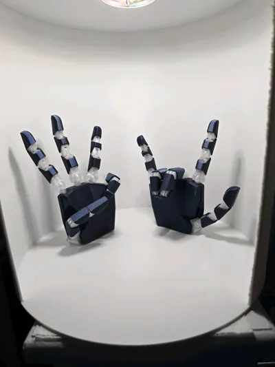 https://makerworld.bblmw.com/makerworld/model/1014042/993902/ratings/de7832c0-6e00-11f0-b6a1-a1afa5ef6780.jpg