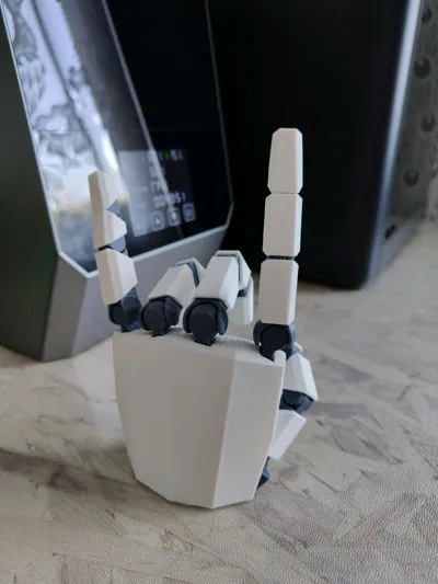https://makerworld.bblmw.com/makerworld/model/1014042/993925/ratings/0fedf680-6a1b-11f0-9cbf-59435bf2a4f3.jpg
