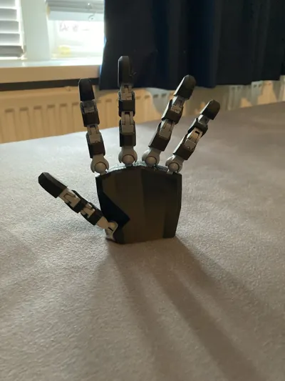 https://makerworld.bblmw.com/makerworld/model/1014042/993925/ratings/5ce20220-9959-11f0-8ca6-9bc332b624ef.jpg