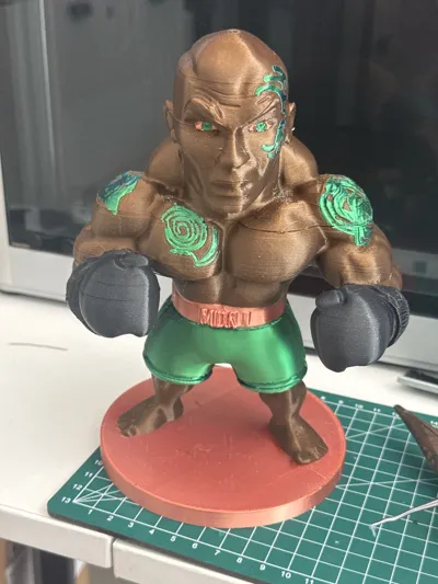 https://makerworld.bblmw.com/makerworld/model/1014157/1007521/ratings/733548f0-704d-11f0-be53-e9f97fe001c9.jpg