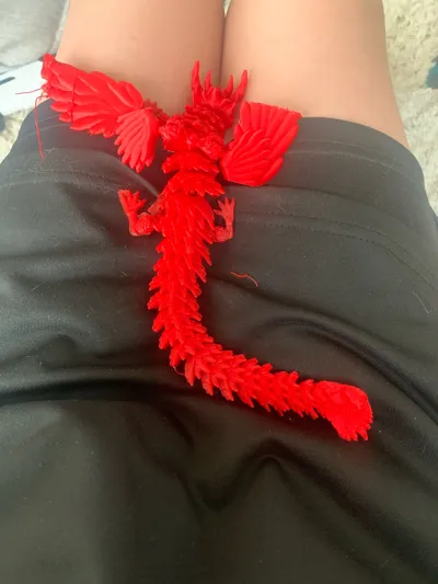 https://makerworld.bblmw.com/makerworld/model/1015187/1051647/ratings/fef6b4b0-eb99-11f0-95a3-e1004a59d3b7.jpg