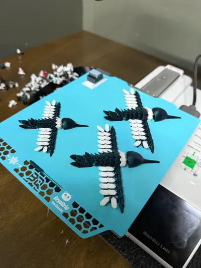 https://makerworld.bblmw.com/makerworld/model/1017484/1007802/ratings/a484ecc0-244a-11f0-a710-b5f5ea7b44ea.jpg