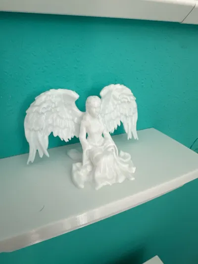 https://makerworld.bblmw.com/makerworld/model/1017669/998253/ratings/7d03c7f0-8590-11f0-b27d-6573eef84cc3.jpg
