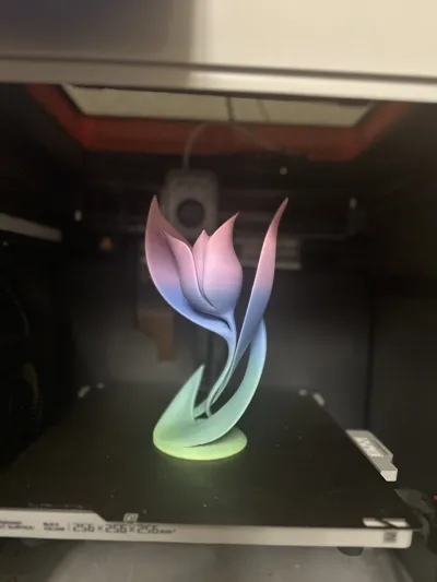 https://makerworld.bblmw.com/makerworld/model/1017921/1002103/ratings/b6f1ad50-f94b-11ef-a9ca-73a721e969b6.jpg