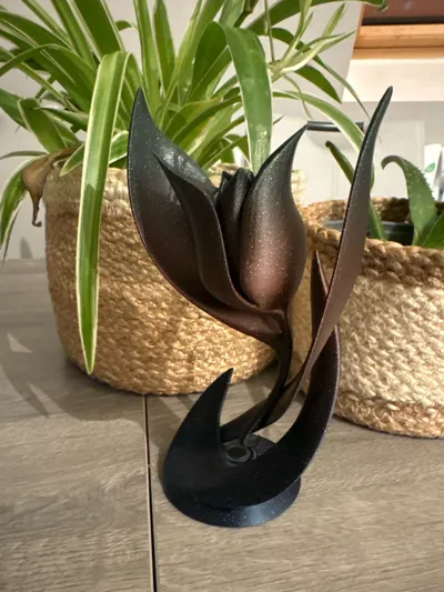 https://makerworld.bblmw.com/makerworld/model/1017921/1013596/ratings/d21950f0-e9f1-11f0-9287-2987e0525a23.jpg