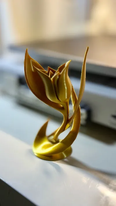 https://makerworld.bblmw.com/makerworld/model/1017921/1241306/ratings/19ce4e00-b7c0-11f0-ad01-613d65279a56.jpg