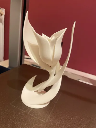 https://makerworld.bblmw.com/makerworld/model/1017921/1241306/ratings/2d538640-656b-11f0-8626-55f8f5c20bf2.jpg