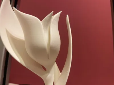 https://makerworld.bblmw.com/makerworld/model/1017921/1241306/ratings/2d586840-656b-11f0-8626-55f8f5c20bf2.jpg