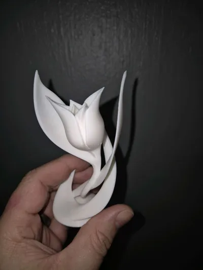 https://makerworld.bblmw.com/makerworld/model/1017921/1241306/ratings/d3a931e0-dcce-11f0-95be-d91f71f26408.jpg