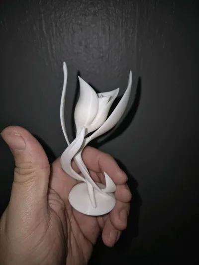 https://makerworld.bblmw.com/makerworld/model/1017921/1241306/ratings/d3b789c0-dcce-11f0-95be-d91f71f26408.jpg
