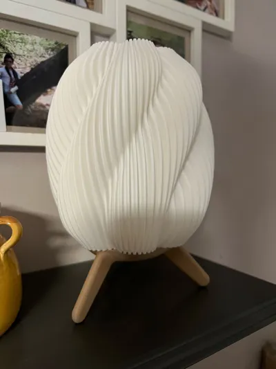 https://makerworld.bblmw.com/makerworld/model/1018987/1051455/ratings/c788b460-a751-11f0-a59c-2798fcf0bb27.jpg