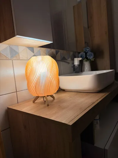 https://makerworld.bblmw.com/makerworld/model/1018987/999915/ratings/5856bc10-d06c-11f0-b487-c5ac0d3e42a0.jpg
