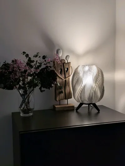 https://makerworld.bblmw.com/makerworld/model/1018987/999915/ratings/6bae5570-bd61-11f0-ad6c-c5bf5d0cedb8.jpg